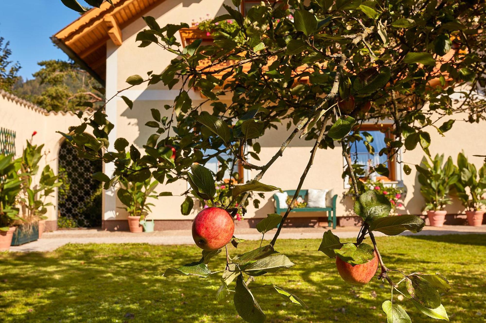 Ferienhaus Zur Maultrommel Molln 外观 照片
